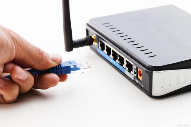 嘉定過期食品集中銷毀 嘉定過期食品集中銷毀