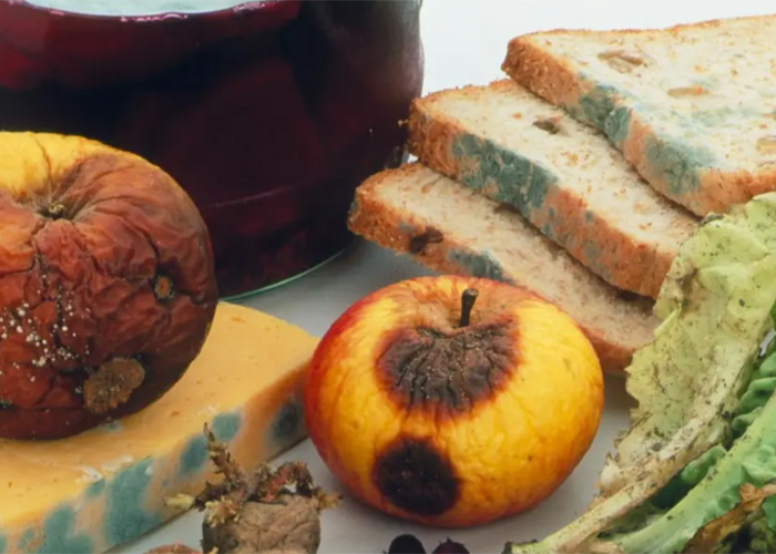 上海過(guò)期食品銷(xiāo)毀有關(guān)議論文 上海過(guò)期食品銷(xiāo)毀有關(guān)議論文