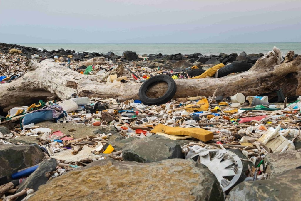 廢物管理,可持續發展的實踐 廢物管理,可持續發展的實踐